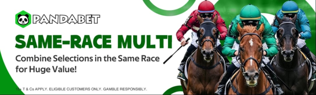 Pandabet Banner SRM Pandabet Banner SRM