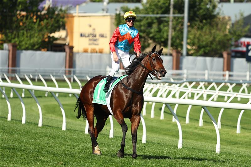 SYDNEY, AUSTRALIA - OCTOBER 18: Zac Purton riding Ka Ying Rising  win Race 7  The TAB Everest during Sydney Racing at Royal Randwick Racecourse on October 18, 2025 in Sydney, Australia. (Photo by Jeremy Ng/Getty Images)