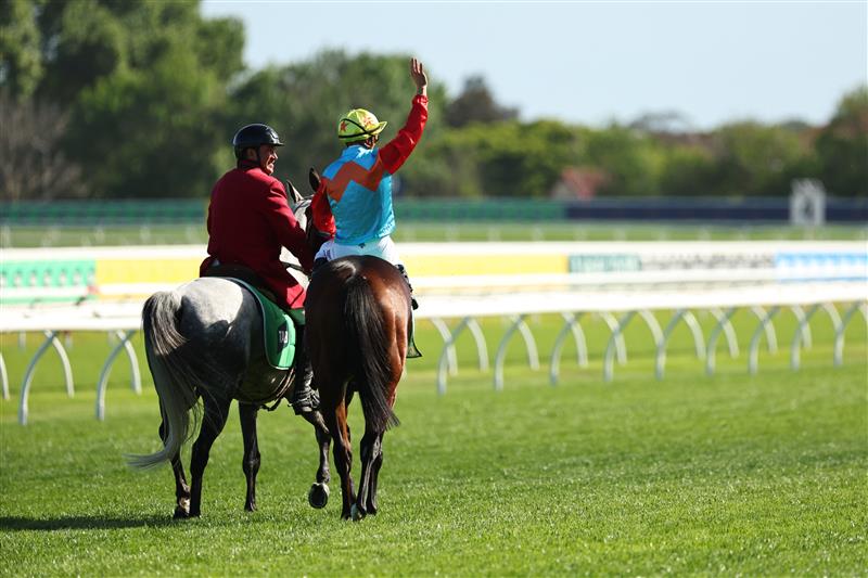 SYDNEY, AUSTRALIA - OCTOBER 18: Zac Purton riding Ka Ying Rising  win Race 7  The TAB Everest during Sydney Racing at Royal Randwick Racecourse on October 18, 2025 in Sydney, Australia. (Photo by Jeremy Ng/Getty Images)