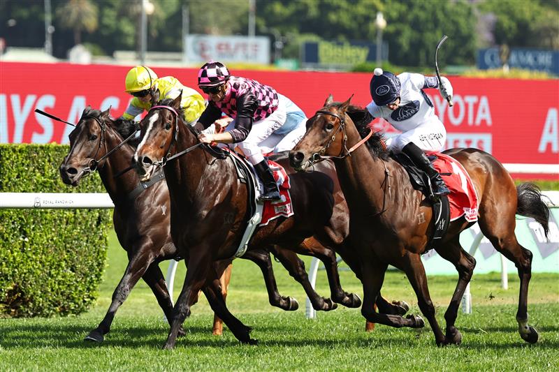 SYDNEY, AUSTRALIA - OCTOBER 18: Zac Purton riding Rothfire  win Race 6 Toyota Forklifts Sydney Stakes during Sydney Racing at Royal Randwick Racecourse on October 18, 2025 in Sydney, Australia. (Photo by Jeremy Ng/Getty Images)