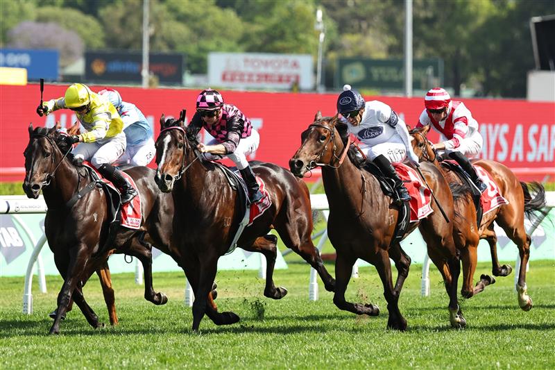 SYDNEY, AUSTRALIA - OCTOBER 18: Zac Purton riding Rothfire  win Race 6 Toyota Forklifts Sydney Stakes during Sydney Racing at Royal Randwick Racecourse on October 18, 2025 in Sydney, Australia. (Photo by Jeremy Ng/Getty Images)
