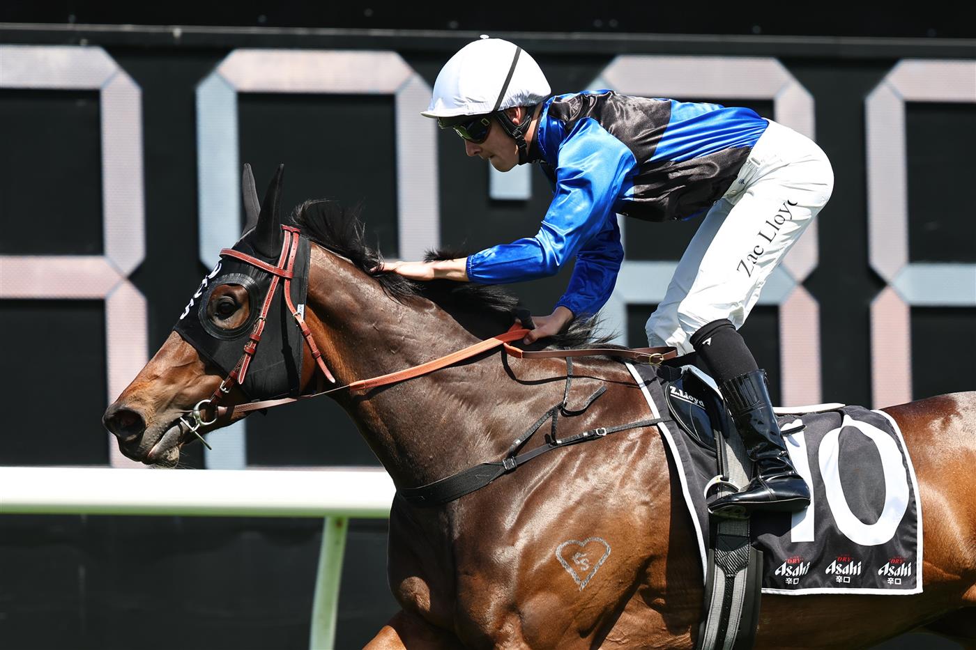 SYDNEY, AUSTRALIA - OCTOBER 18: Zac Lloyd riding  Idle Flyer win Race 4 Asahi Super Dry Angst Stakes during Sydney Racing at Royal Randwick Racecourse on October 18, 2025 in Sydney, Australia. (Photo by Jeremy Ng/Getty Images)