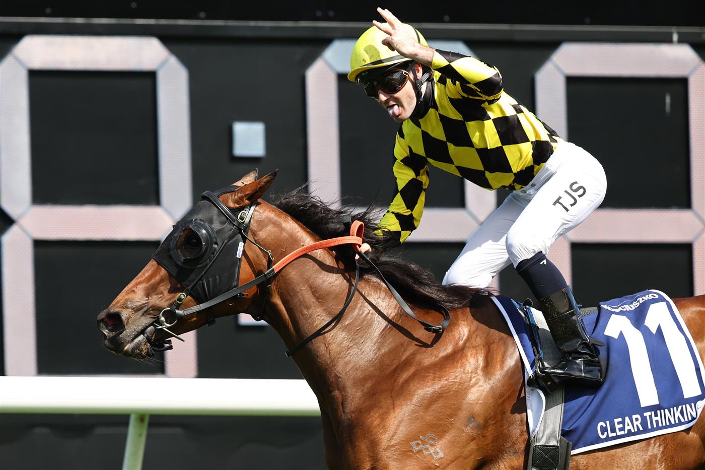 SYDNEY, AUSTRALIA - OCTOBER 18: Tyler Schiller riding  Clear Thinking  win Race 5 The Kosciuszko during Sydney Racing at Royal Randwick Racecourse on October 18, 2025 in Sydney, Australia. (Photo by Jeremy Ng/Getty Images)