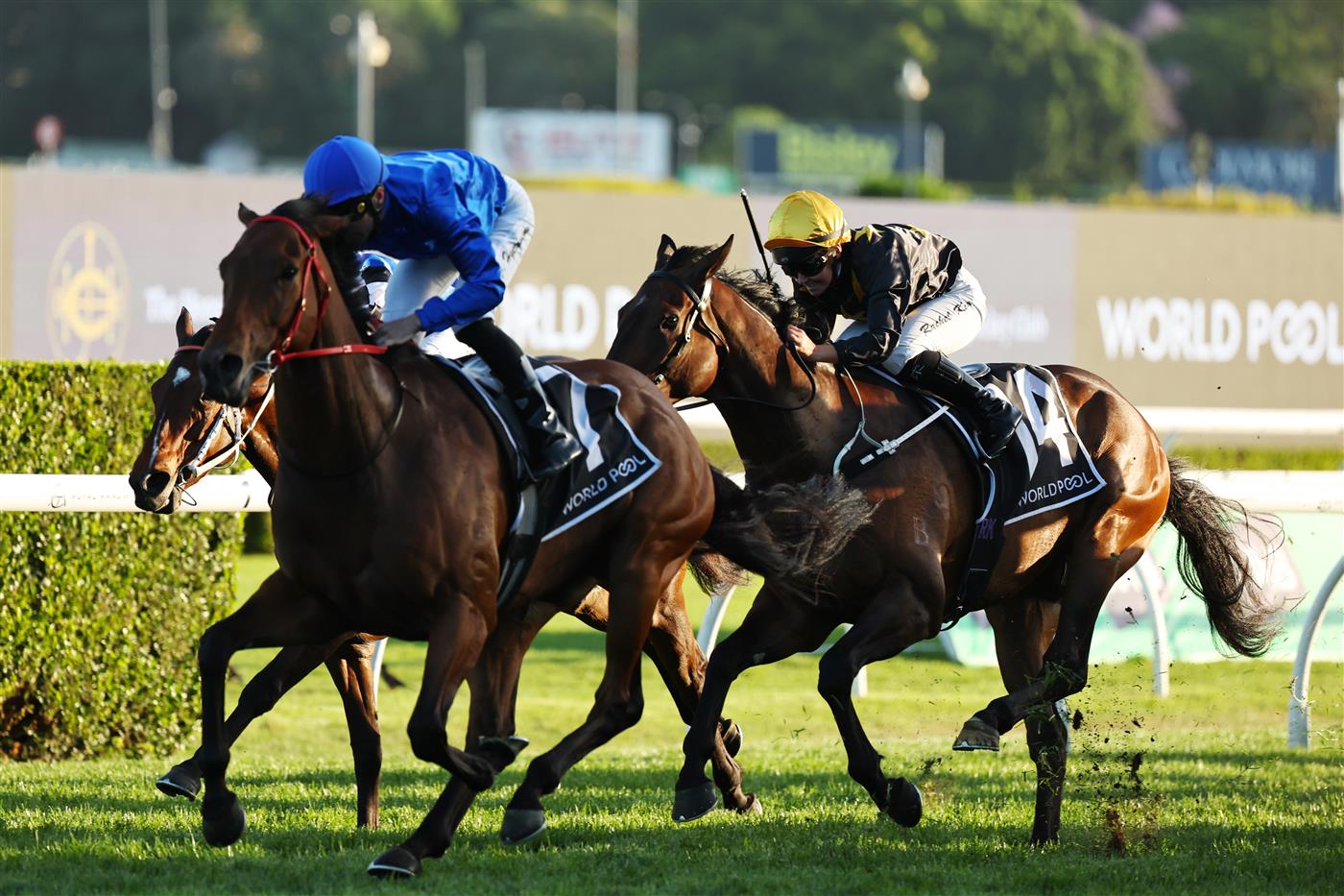 SYDNEY, AUSTRALIA - OCTOBER 18: Adam Hyeronimus riding Kerguelen win Race 10 The Hong Kong Jockey Club World Pool during Sydney Racing at Royal Randwick Racecourse on October 18, 2025 in Sydney, Australia. (Photo by Jeremy Ng/Getty Images)