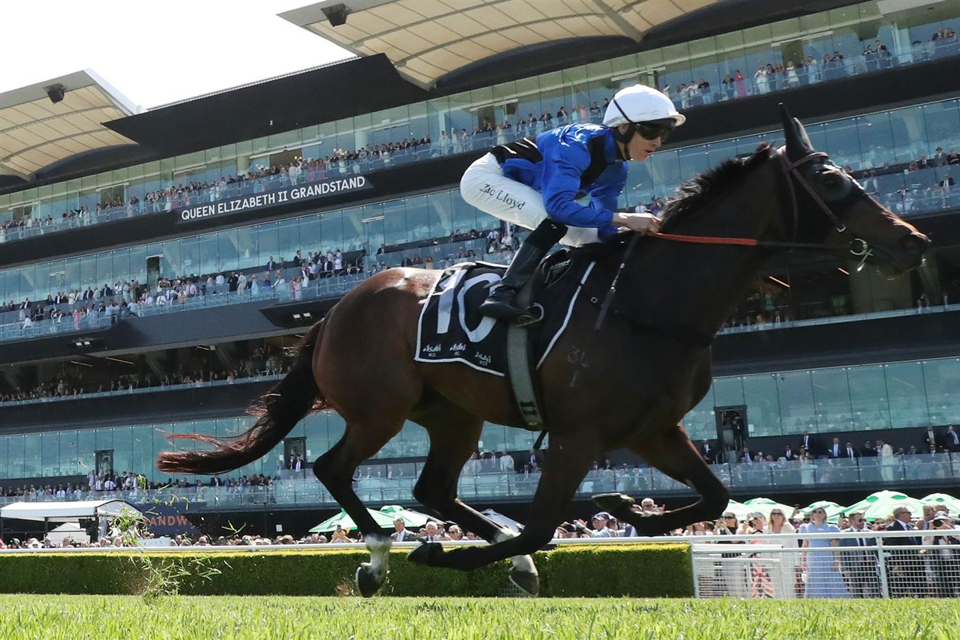 SYDNEY, AUSTRALIA - OCTOBER 18: Zac Lloyd riding  Idle Flyer win Race 4 Asahi Super Dry Angst Stakes during Sydney Racing at Royal Randwick Racecourse on October 18, 2025 in Sydney, Australia. (Photo by Jeremy Ng/Getty Images)