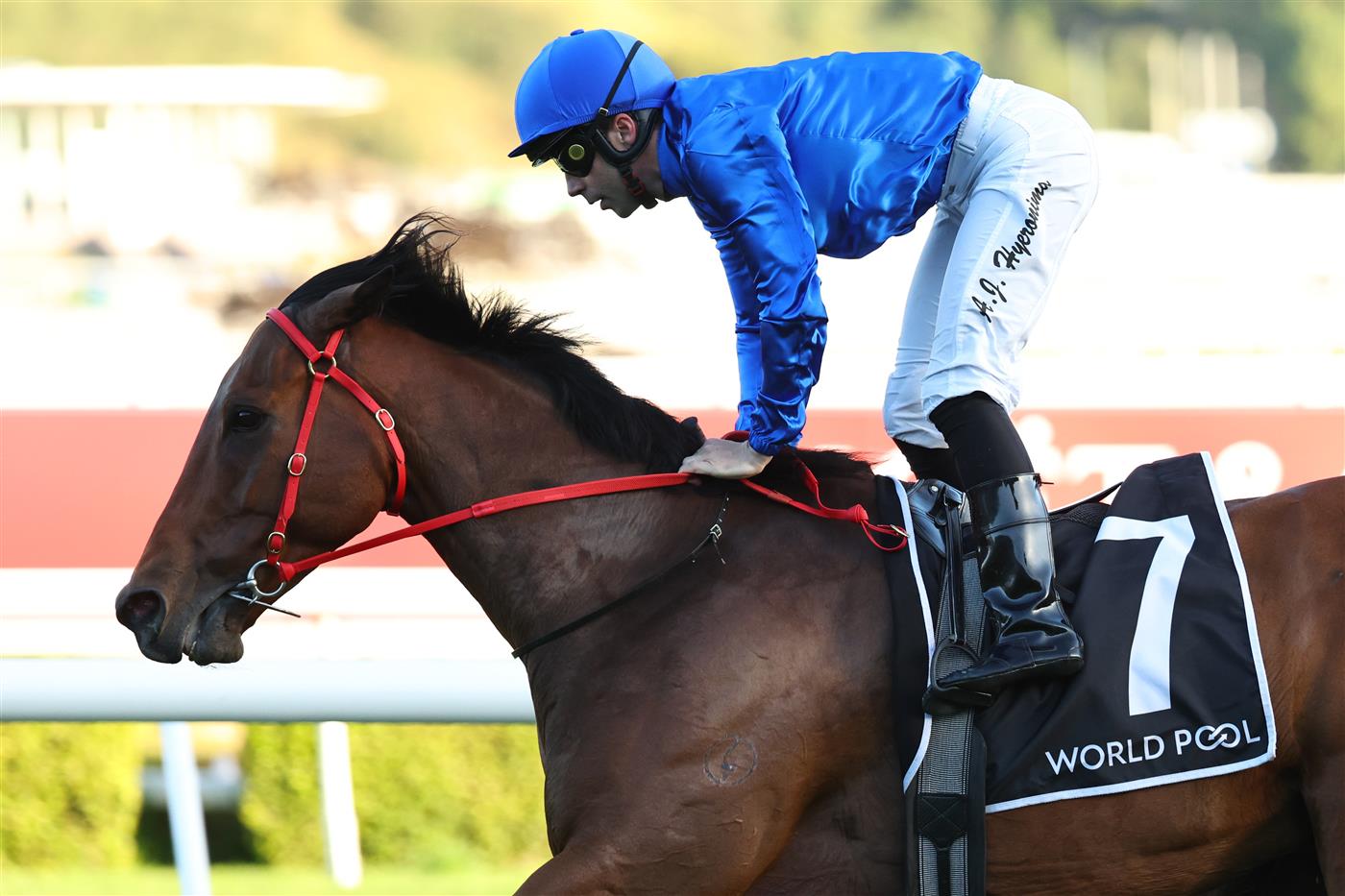 SYDNEY, AUSTRALIA - OCTOBER 18: Adam Hyeronimus riding Kerguelen win Race 10 The Hong Kong Jockey Club World Pool during Sydney Racing at Royal Randwick Racecourse on October 18, 2025 in Sydney, Australia. (Photo by Jeremy Ng/Getty Images)