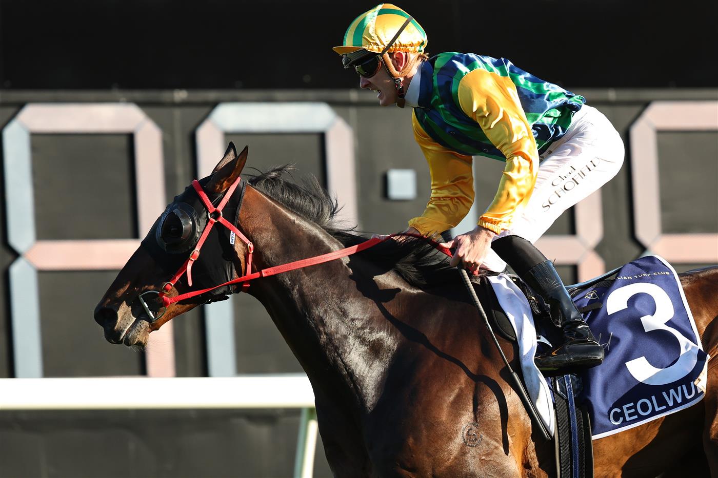 SYDNEY, AUSTRALIA - OCTOBER 18: Chad Schofield riding Ceolwulf win Race 9 King Charles III Stakes during Sydney Racing at Royal Randwick Racecourse on October 18, 2025 in Sydney, Australia. (Photo by Jeremy Ng/Getty Images)