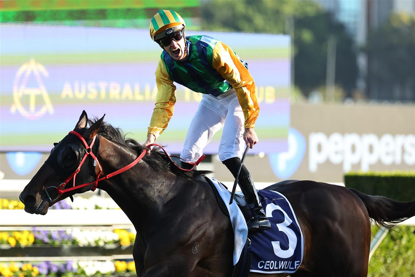 SYDNEY, AUSTRALIA - OCTOBER 18: Chad Schofield riding Ceolwulf win Race 9 King Charles III Stakes during Sydney Racing at Royal Randwick Racecourse on October 18, 2025 in Sydney, Australia. (Photo by Jeremy Ng/Getty Images)