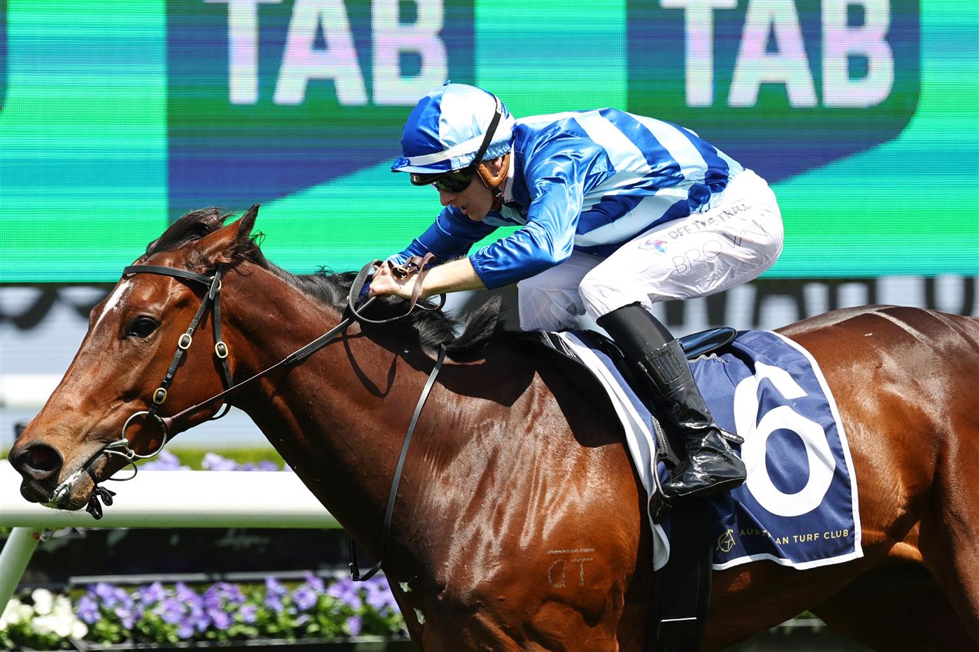 SYDNEY, AUSTRALIA - OCTOBER 18: Ethan Brown riding Vivy Air win Race 3 Big Dance Wild Card Handicap during Sydney Racing at Royal Randwick Racecourse on October 18, 2025 in Sydney, Australia. (Photo by Jeremy Ng/Getty Images)