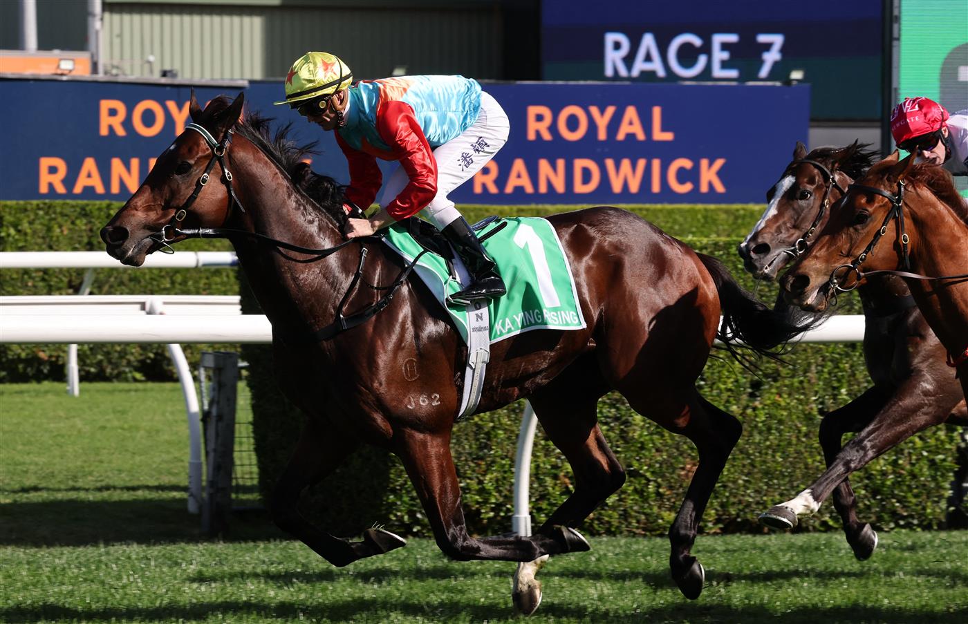 Jockey Zac Purton, rider of Ka Ying Rising, competes in the Everest 2025 race at the Royal Randwick racecourse in Sydney on October 18, 2025.  (Photo by DAVID GRAY / AFP) / -- IMAGE RESTRICTED TO EDITORIAL USE - STRICTLY NO COMMERCIAL USE -- (Photo by DAVID GRAY/AFP via Getty Images)          