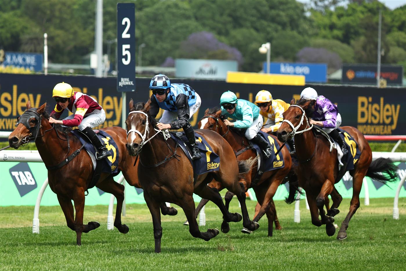 SYDNEY, AUSTRALIA - OCTOBER 18: Tommy Berry riding Panova win Race 1 Bisley Workwear Reginald Allen Quality during Sydney Racing at Royal Randwick Racecourse on October 18, 2025 in Sydney, Australia. (Photo by Jeremy Ng/Getty Images)
