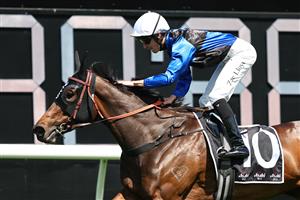 SYDNEY, AUSTRALIA - OCTOBER 18: Zac Lloyd riding  Idle Flyer win Race 4 Asahi Super Dry Angst Stakes during Sydney Racing at Royal Randwick Racecourse on October 18, 2025 in Sydney, Australia. (Photo by Jeremy Ng/Getty Images)