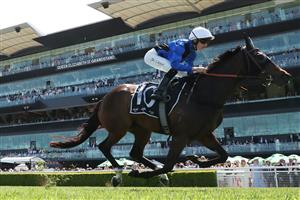 SYDNEY, AUSTRALIA - OCTOBER 18: Zac Lloyd riding  Idle Flyer win Race 4 Asahi Super Dry Angst Stakes during Sydney Racing at Royal Randwick Racecourse on October 18, 2025 in Sydney, Australia. (Photo by Jeremy Ng/Getty Images)