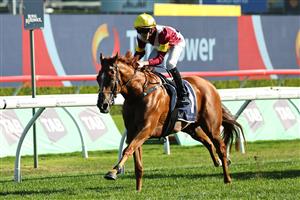 SYDNEY, AUSTRALIA - OCTOBER 18: Zac Lloyd riding Linebacker win Race 8 Silver Eagle during Sydney Racing at Royal Randwick Racecourse on October 18, 2025 in Sydney, Australia. (Photo by Jeremy Ng/Getty Images)