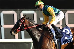 SYDNEY, AUSTRALIA - OCTOBER 18: Chad Schofield riding Ceolwulf win Race 9 King Charles III Stakes during Sydney Racing at Royal Randwick Racecourse on October 18, 2025 in Sydney, Australia. (Photo by Jeremy Ng/Getty Images)