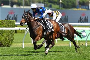 SYDNEY, AUSTRALIA - OCTOBER 18: Zac Lloyd riding  Idle Flyer win Race 4 Asahi Super Dry Angst Stakes during Sydney Racing at Royal Randwick Racecourse on October 18, 2025 in Sydney, Australia. (Photo by Jeremy Ng/Getty Images)