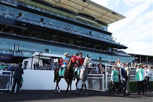 SYDNEY, AUSTRALIA - OCTOBER 18: Zac Purton riding Ka Ying Rising  prepares for Race 7  The TAB Everest during Sydney Racing at Royal Randwick Racecourse on October 18, 2025 in Sydney, Australia. (Photo by Jeremy Ng/Getty Images)