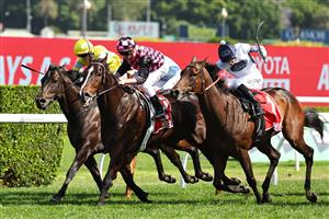 SYDNEY, AUSTRALIA - OCTOBER 18: Zac Purton riding Rothfire  win Race 6 Toyota Forklifts Sydney Stakes during Sydney Racing at Royal Randwick Racecourse on October 18, 2025 in Sydney, Australia. (Photo by Jeremy Ng/Getty Images)