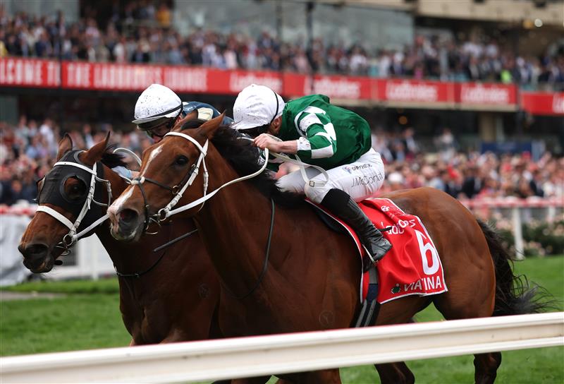 MELBOURNE, AUSTRALIA - OCTOBER 25: James McDonald rides #6 Via Sistina to win race ten the Cox Plate during Cox Plate Day at Moonee Valley Racecourse on October 25, 2025 in Melbourne, Australia. (Photo by Robert Cianflone/Getty Images)