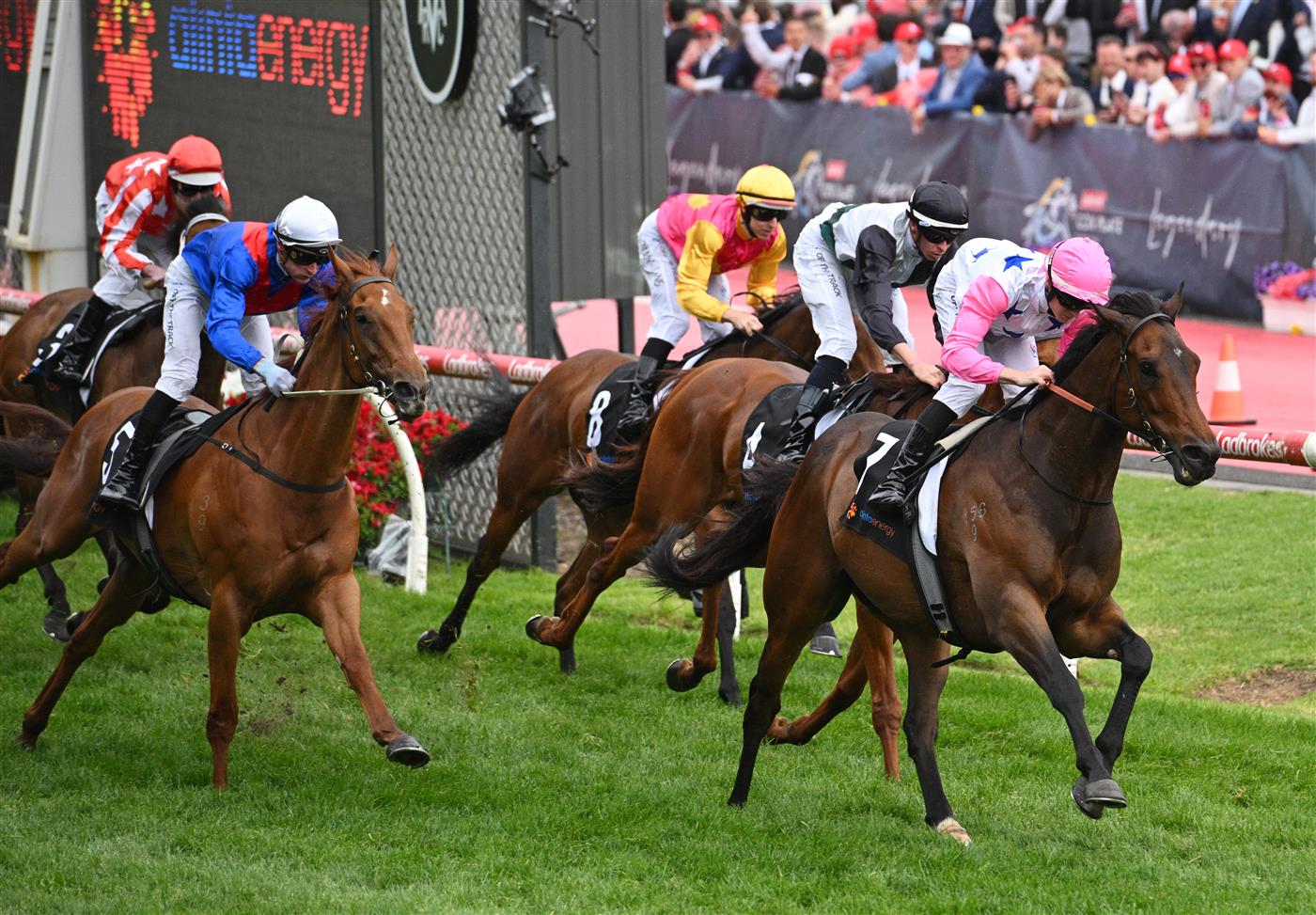 MELBOURNE, AUSTRALIA - OCTOBER 25: Ethan Brown riding Von Hauke winning Race 7, the Alinta Energy Crystal Mile during Cox Plate Day at Moonee Valley Racecourse on October 25, 2025 in Melbourne, Australia. (Photo by Vince Caligiuri/Getty Images)