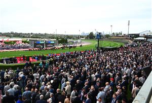MELBOURNE, AUSTRALIA - OCTOBER 25: General view of crowds in Race 2, the Hkjc World Pool Red Anchor Stakes during Cox Plate Day at Moonee Valley Racecourse on October 25, 2025 in Melbourne, Australia. (Photo by Vince Caligiuri/Getty Images)