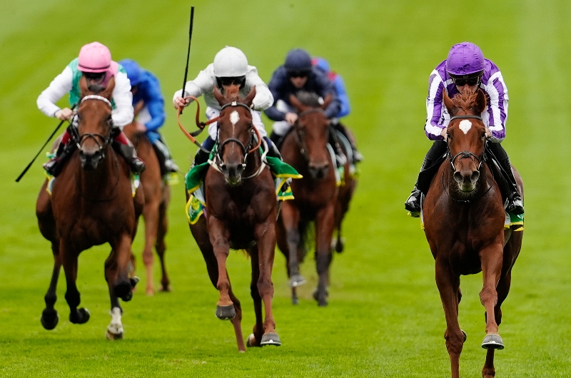 precise newmarket