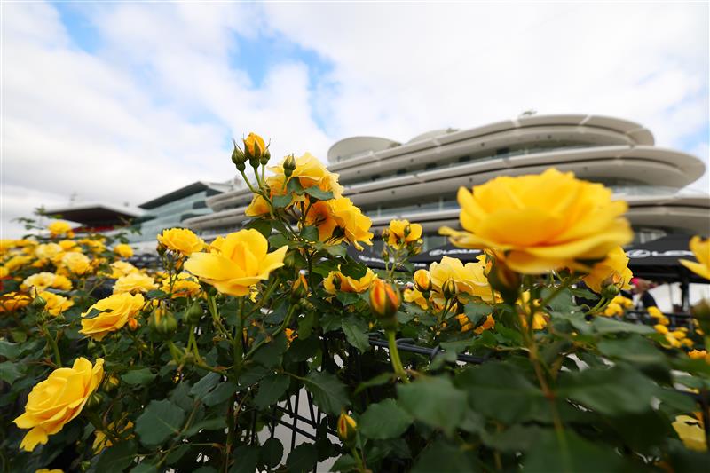 MELBOURNE, AUSTRALIA - NOVEMBER 01: A general view during Melbourne Racing at Flemington Racecourse on November 01, 2025 in Melbourne, Australia. (Photo by Daniel Pockett/Getty Images)