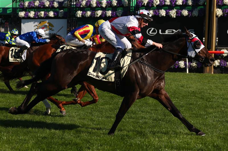 MELBOURNE, AUSTRALIA - NOVEMBER 01: Carleen Hefel celebrates riding New York Lustre #10 to win race nine the Kirin Ichiban Sprint during Melbourne Racing at Flemington Racecourse on November 01, 2025 in Melbourne, Australia. (Photo by Daniel Pockett/Getty Images)