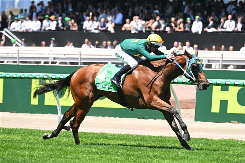 MELBOURNE, AUSTRALIA - NOVEMBER 01: Luke Nolen riding Shieza Alibi winning Race 2, the The Tab Vanity during 2025 Derby Day at Flemington Racecourse on November 01, 2025 in Melbourne, Australia. (Photo by Vince Caligiuri/Getty Images)