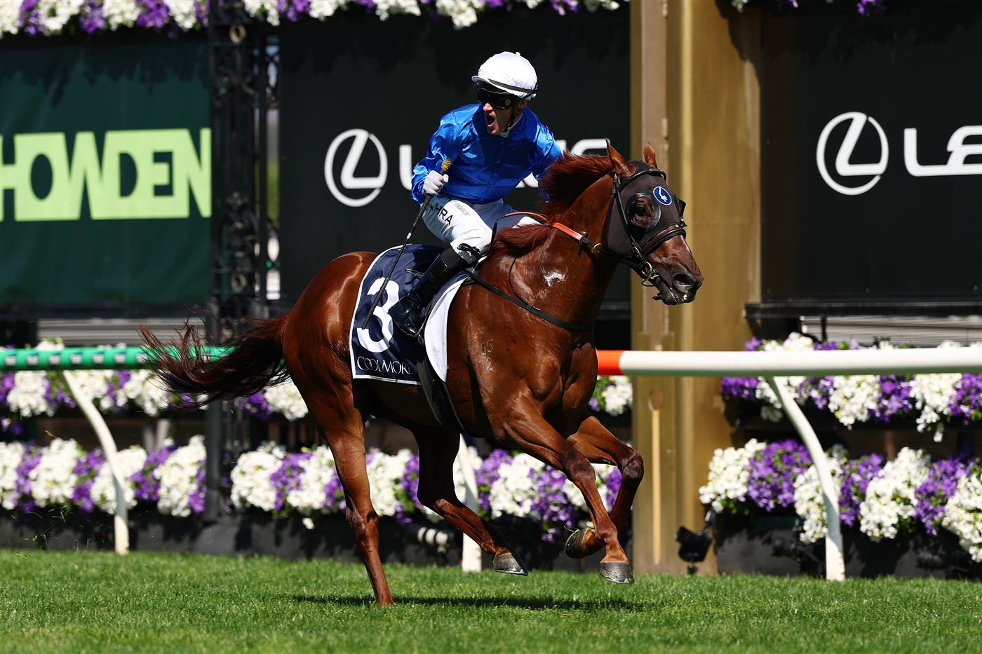 MELBOURNE, AUSTRALIA - NOVEMBER 01: Mark Zahra rides Tentyris to win race six the Coolmore Stud Stakes during Melbourne Racing at Flemington Racecourse on November 01, 2025 in Melbourne, Australia. (Photo by Morgan Hancock/Getty Images)