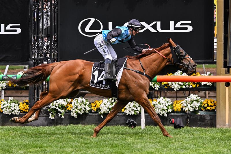 Half Yours ridden by Australian jockey Jamie Melham wins the Melbourne Cup horse race at the Flemington Racecourse in Melbourne on November 4, 2025. Melham became only the second woman jockey to win the Aus$10 million (US$6.5 million) Melbourne Cup on November 4, steering Half Yours to victory in Australia