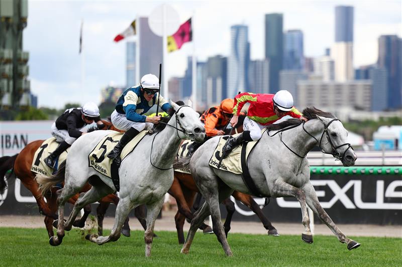 MELBOURNE, AUSTRALIA - NOVEMBER 04: John Allen rides Kingswood to win race six the Kirin Ichiban Plate during Melbourne Cup Day at Flemington Racecourse on November 04, 2025 in Melbourne, Australia. (Photo by Morgan Hancock/Getty Images)