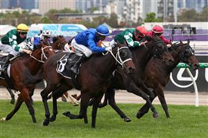 MELBOURNE, AUSTRALIA - NOVEMBER 04: Joao Moreira riding Burma Star (3R) to win race eight the Lexus Amanda Elliott during Melbourne Cup Day at Flemington Racecourse on November 04, 2025 in Melbourne, Australia. (Photo by Daniel Pockett/Getty Images)