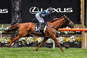 Half Yours ridden by Australian jockey Jamie Melham wins the Melbourne Cup horse race at the Flemington Racecourse in Melbourne on November 4, 2025. Melham became only the second woman jockey to win the Aus$10 million (US$6.5 million) Melbourne Cup on November 4, steering Half Yours to victory in Australia