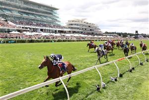 MELBOURNE, AUSTRALIA - NOVEMBER 04: Craig Williams rides #9 Litzdeel to win race five the Australian Heritage Cup during Melbourne Cup Day at Flemington Racecourse on November 04, 2025 in Melbourne, Australia. (Photo by Robert Cianflone/Getty Images)