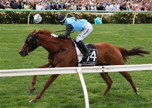 MELBOURNE, AUSTRALIA - NOVEMBER 04: Jamie Melham rides #14 Half Yours to win race seven the Lexus Melbourne Cup during Melbourne Cup Day at Flemington Racecourse on November 04, 2025 in Melbourne, Australia. (Photo by Robert Cianflone/Getty Images)