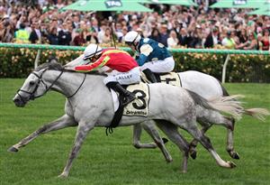 MELBOURNE, AUSTRALIA - NOVEMBER 04: John Allen rides #3 Kingswood to win race six the Kirin Ichiban Plate during Melbourne Cup Day at Flemington Racecourse on November 04, 2025 in Melbourne, Australia. (Photo by Robert Cianflone/Getty Images)
