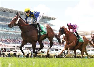 MELBOURNE, AUSTRALIA - NOVEMBER 04: Mark Zahra rides #4 Different Gravy to win race three the Tab Trophyduring Melbourne Cup Day at Flemington Racecourse on November 04, 2025 in Melbourne, Australia. (Photo by Robert Cianflone/Getty Images)