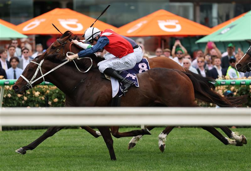MELBOURNE, AUSTRALIA - NOVEMBER 06: Damian Lane rides Stokke #14 to win race nine the NYE at Flemington Century Stakes during Oaks Day at Flemington Racecourse on November 06, 2025 in Melbourne, Australia. (Photo by Robert Cianflone/Getty Images)