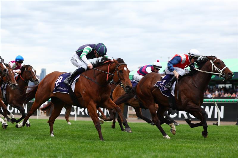 MELBOURNE, AUSTRALIA - NOVEMBER 06: Damian Lane rides Stokke to win race nine the NYE at Flemington Century Stakes during Oaks Day at Flemington Racecourse on November 06, 2025 in Melbourne, Australia (Photo by Morgan Hancock/Getty Images)