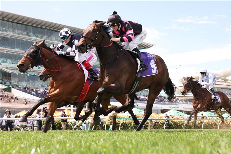 MELBOURNE, AUSTRALIA - NOVEMBER 06: Damian Lane rides #9 Al Duca to win race four the Good Friday Appeal Trophy during Oaks Day at Flemington Racecourse on November 06, 2025 in Melbourne, Australia. (Photo by Robert Cianflone/Getty Images)