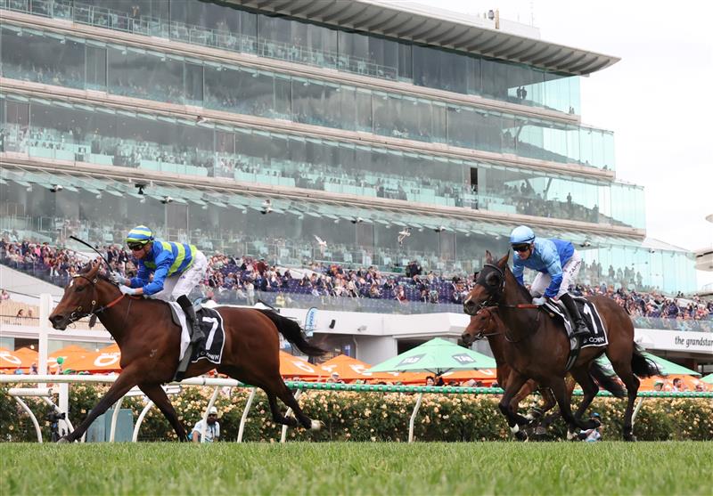 MELBOURNE, AUSTRALIA - NOVEMBER 06: Daniel Stackhouse rides #7 Point Barrow to win race six the Melbourne Cup Carnival Country Final Qc during Oaks Day at Flemington Racecourse on November 06, 2025 in Melbourne, Australia. (Photo by Robert Cianflone/Getty Images)