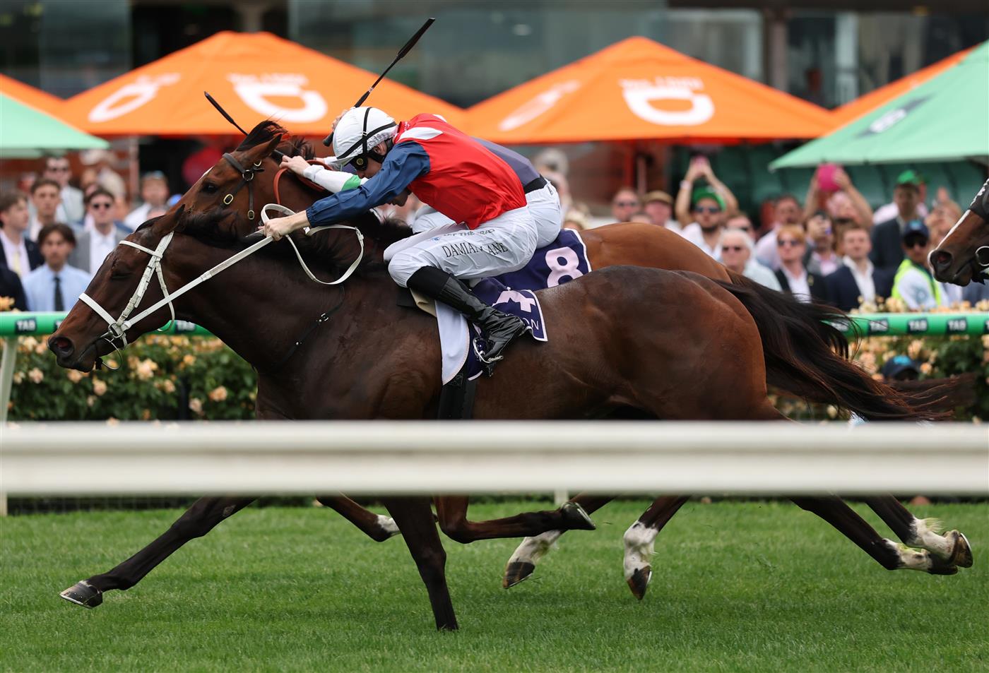 MELBOURNE, AUSTRALIA - NOVEMBER 06: Damian Lane rides Stokke #14 to win race nine the NYE at Flemington Century Stakes during Oaks Day at Flemington Racecourse on November 06, 2025 in Melbourne, Australia. (Photo by Robert Cianflone/Getty Images)