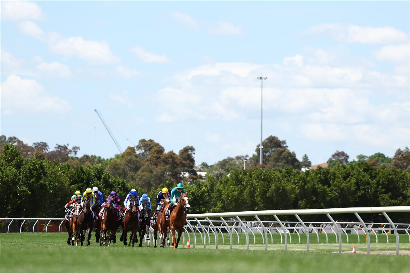 MELBOURNE, AUSTRALIA - NOVEMBER 06: First Chorus ridden by Jamie Mott wins Race One the TCL Trophy during Melbourne Racing at Flemington Racecourse on November 06, 2025 in Melbourne, Australia. (Photo by Morgan Hancock/Getty Images)
