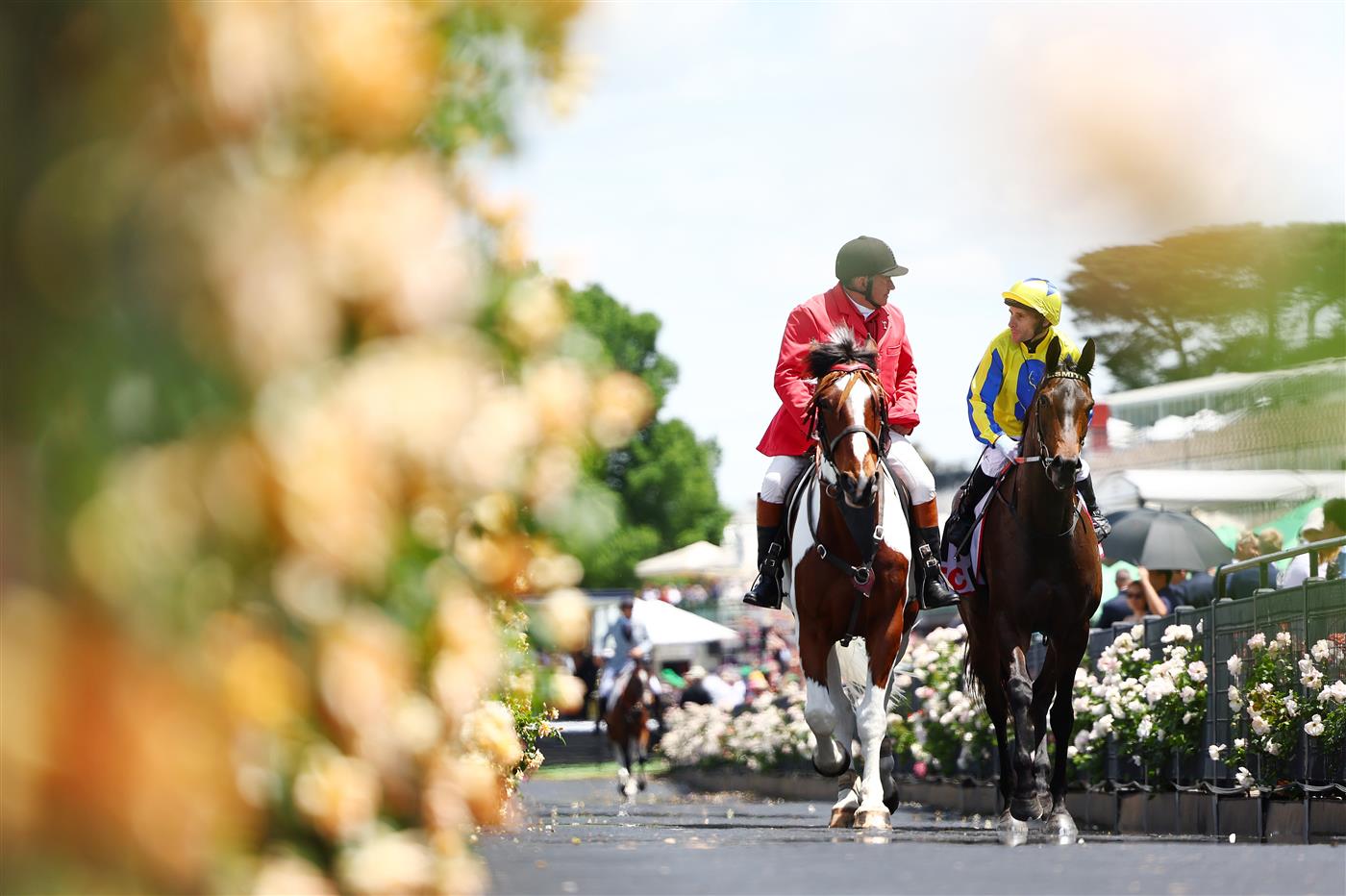 MELBOURNE, AUSTRALIA - NOVEMBER 06: First Chorus is ridden back to the mounting yard by Jamie Mott after winning Race One the TCL Trophy during Melbourne Racing at Flemington Racecourse on November 06, 2025 in Melbourne, Australia. (Photo by Morgan Hancock/Getty Images)