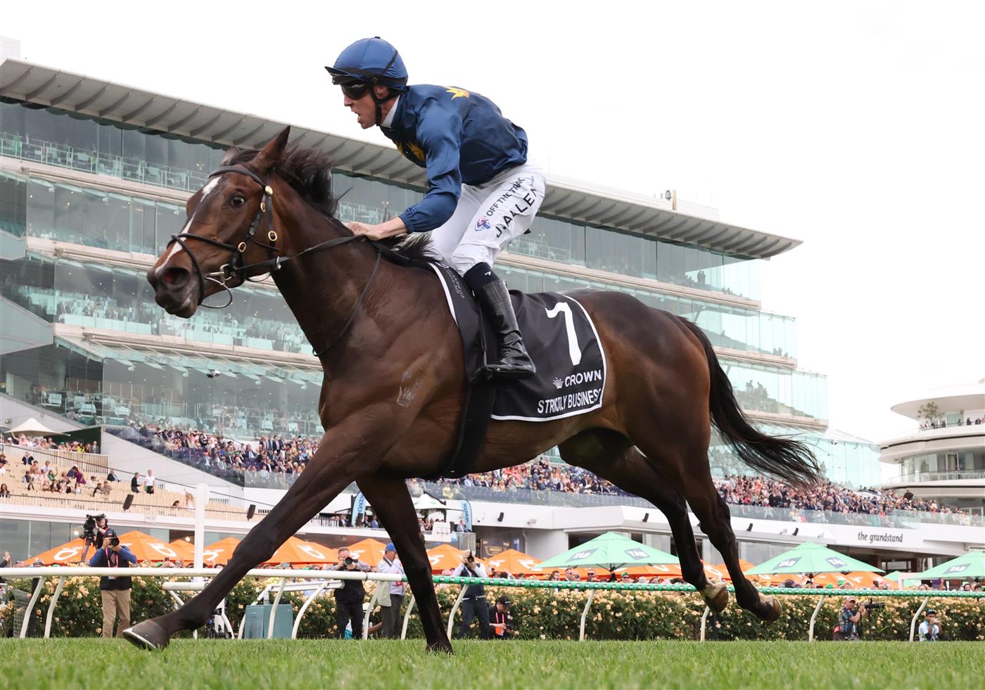 MELBOURNE, AUSTRALIA - NOVEMBER 06: John Allen rides #7 Strictly Business to win race eight the Crown Oaks during Oaks Day at Flemington Racecourse on November 06, 2025 in Melbourne, Australia. (Photo by Robert Cianflone/Getty Images)