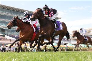 MELBOURNE, AUSTRALIA - NOVEMBER 06: Damian Lane rides #9 Al Duca to win race four the Good Friday Appeal Trophy during Oaks Day at Flemington Racecourse on November 06, 2025 in Melbourne, Australia. (Photo by Robert Cianflone/Getty Images)