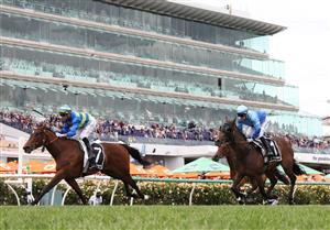 MELBOURNE, AUSTRALIA - NOVEMBER 06: Daniel Stackhouse rides #7 Point Barrow to win race six the Melbourne Cup Carnival Country Final Qc during Oaks Day at Flemington Racecourse on November 06, 2025 in Melbourne, Australia. (Photo by Robert Cianflone/Getty Images)