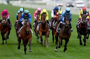 MELBOURNE, AUSTRALIA - NOVEMBER 06: Daniel Stackhouse rides #7 Point Barrow to win race six the Melbourne Cup Carnival Country Final Qc during Oaks Day at Flemington Racecourse on November 06, 2025 in Melbourne, Australia. (Photo by Josh Chadwick/Getty Images)