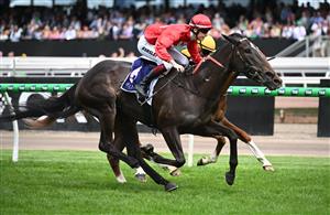 MELBOURNE, AUSTRALIA - NOVEMBER 06: Fred Kersley riding Guerite winning Race 6, the Melbourne Cup Carnival Country Final Qc during Oaks Day at Flemington Racecourse on November 06, 2025 in Melbourne, Australia. (Photo by Vince Caligiuri/Getty Images)